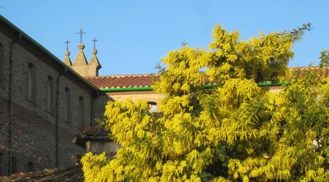 Carmel de Vinça 사진