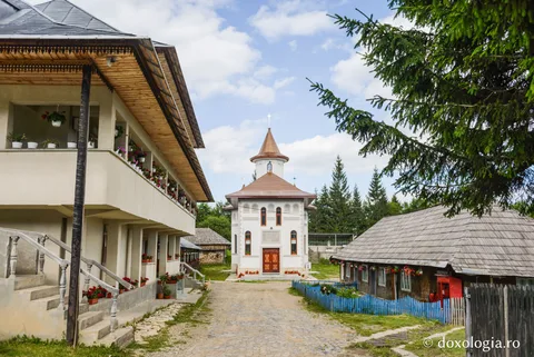 Mânâstirea Stirigoi 사진