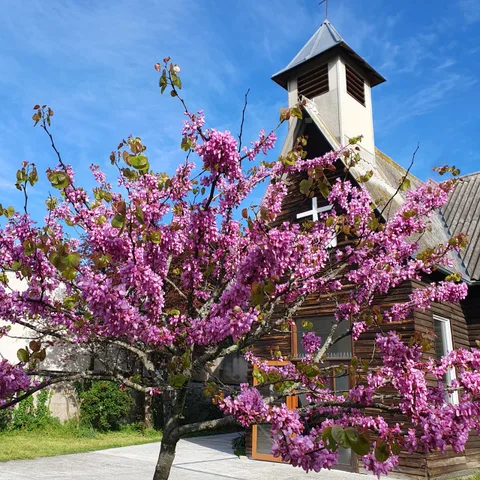 Temple protestant de Talence 사진