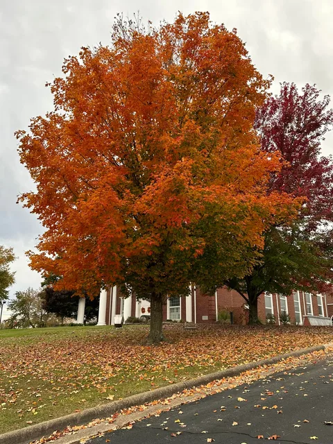 First United Methodist Church 사진