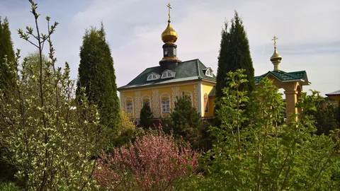 Церковь Всех Святых 사진
