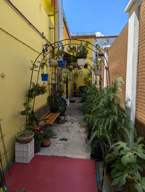 Asociatia Casa Calea 사진