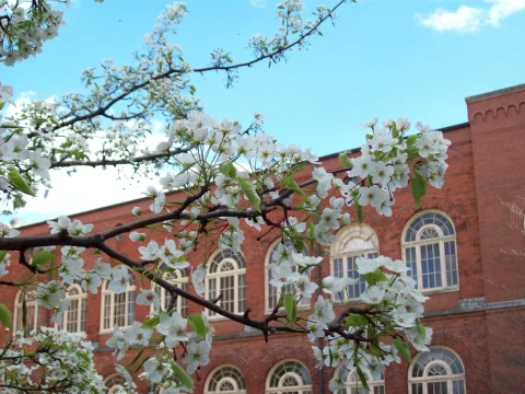 Saint Bede Abbey 사진