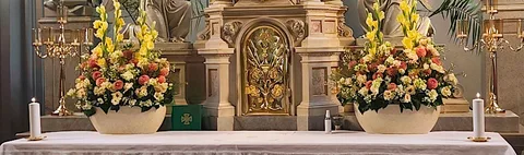 Cerkev Marijinega vnebovzetja 사진