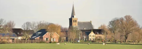 De Rijstuin 사진