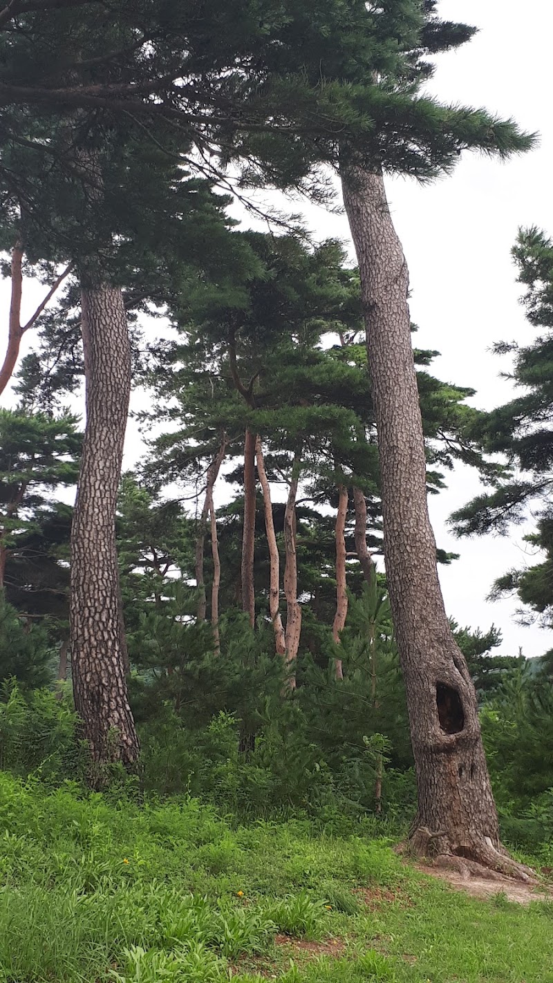 꿈의숲교회 사진 (Google 지도)