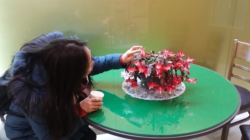 산성교회 사진 (Google 지도)