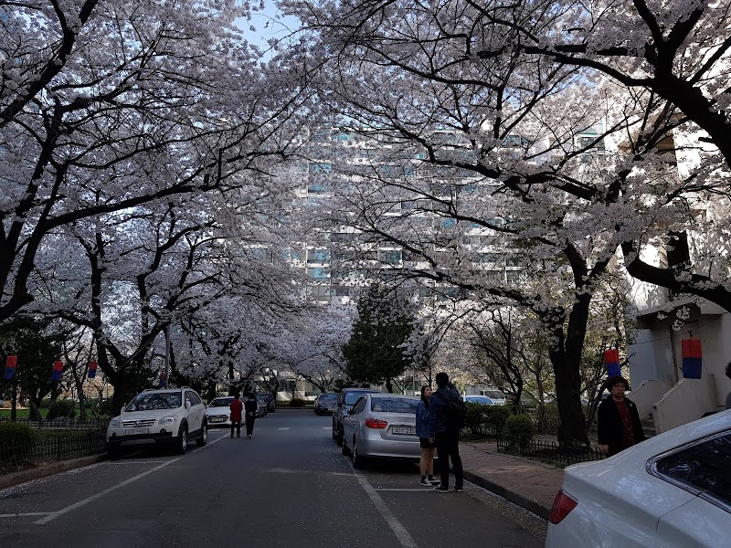 잠실제일교회 사진 (Google 지도)