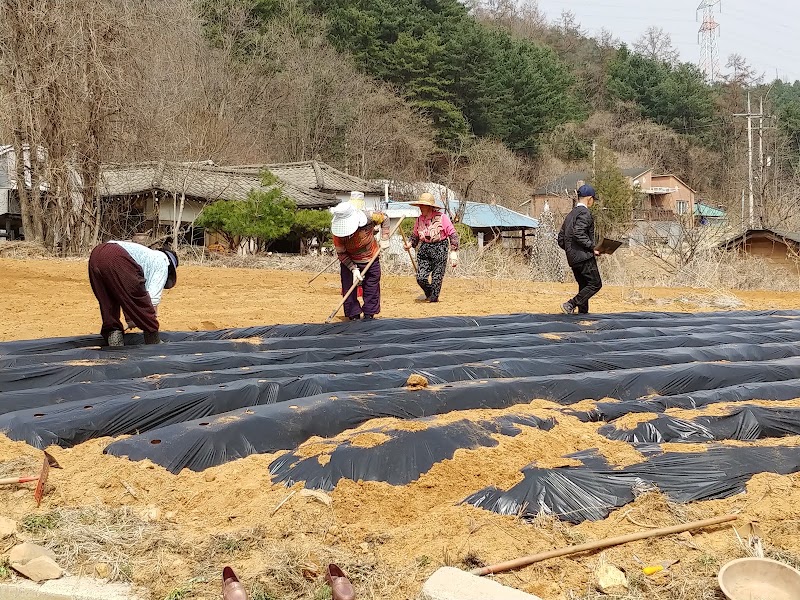 금대교회 사진 (Google 지도)
