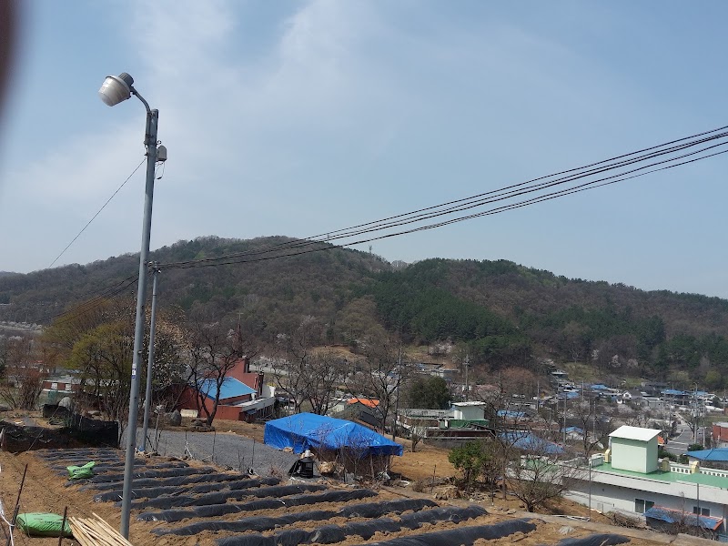 세천교회 사진 (Google 지도)