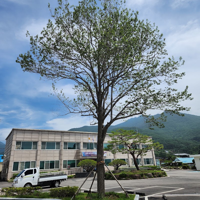 토지교회 사진 (Google 지도)