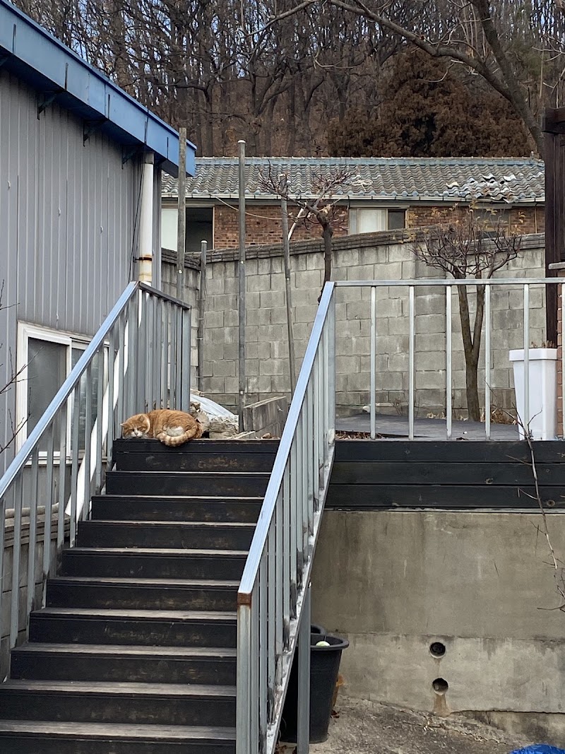 원광명교회 사진 (Google 지도)