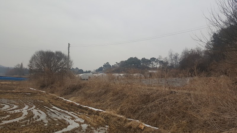 가월교회 사진 (Google 지도)