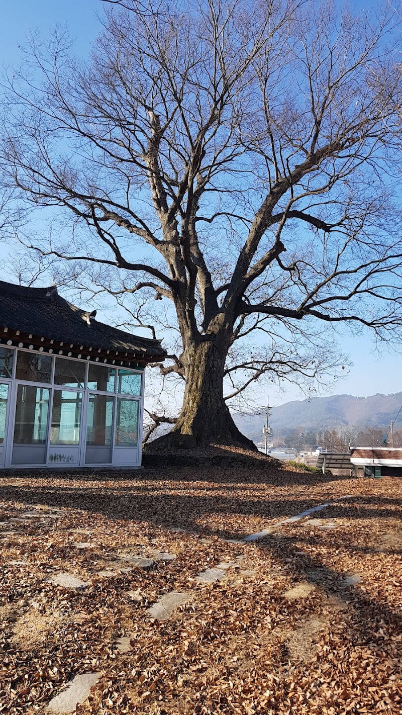 신안교회 사진 (Google 지도)