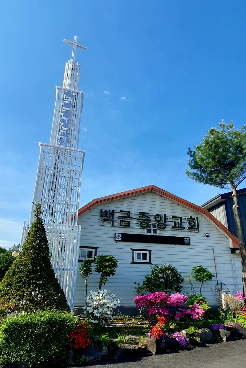 백금중앙교회 사진 (Google 지도)